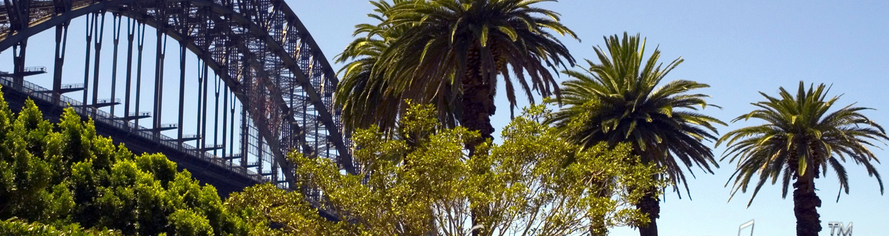 令人舒适的ddos攻击ip软件下载